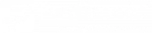 Logo Positronic
