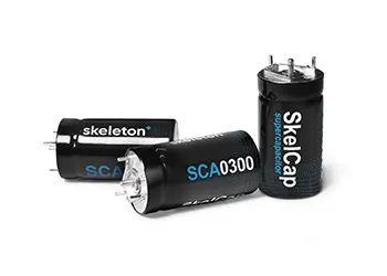 Skeleton - SkelCap Mountable
