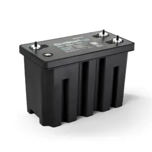Skelstart 12V